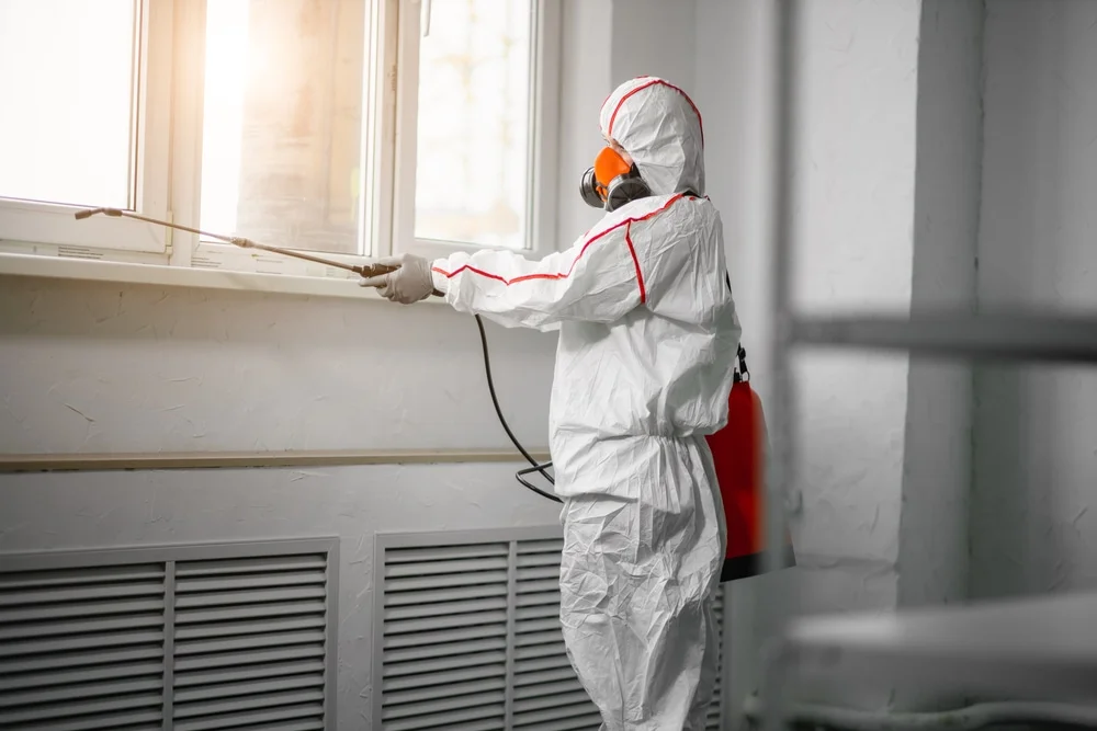 Professional mold remediation services in Cerrillos, NM